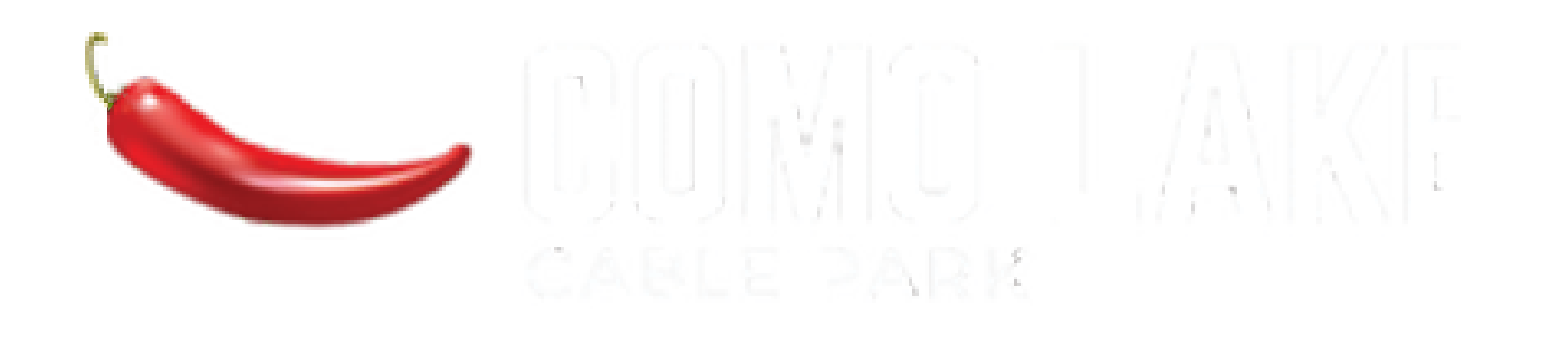 light logo